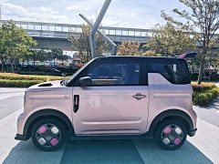 Geely Panda 210km Panda Kart - ფოტო 4