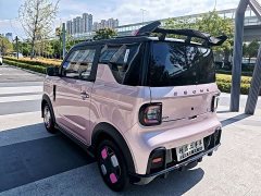 Geely Panda 210km Panda Kart - ფოტო 5