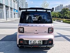 Geely Panda 210km Panda Kart - ფოტო 6