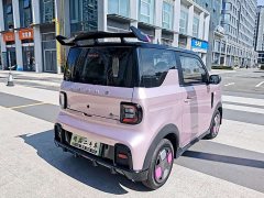 Geely Panda 210km Panda Kart - ფოტო 7