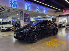 Tesla Model Y Rear-Wheel Drive - ფოტო 1