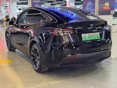 Tesla Model Y Rear-Wheel Drive - ფოტო 7