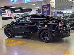 Tesla Model Y Rear-Wheel Drive - ფოტო 8