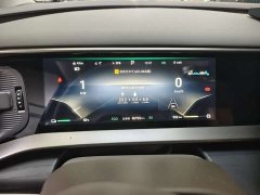 Denza D9 DM-i 970 AWD Premium Edition - ფოტო 10