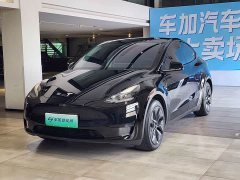 Tesla Model Y Rear-Wheel Drive - ფოტო 1