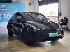 Tesla Model Y Rear-Wheel Drive - ფოტო 3
