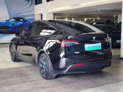 Tesla Model Y Rear-Wheel Drive - ფოტო 7