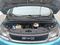 BYD Dolphin 401km Knight Edition - photo 12