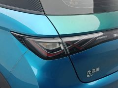 BYD Dolphin 401km Knight Edition - photo 13