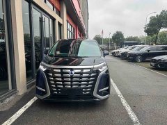 Denza D9 DM-i 970 Luxury - ფოტო 2