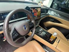 Denza D9 DM-i 970 Luxury - ფოტო 4