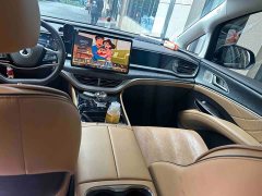 Denza D9 DM-i 970 Luxury - ფოტო 6