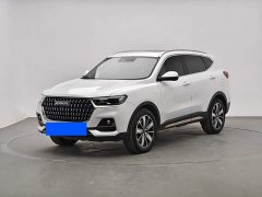 Haval H6 National Trend Edition 1.5T Automatic Champion Version - photo 1