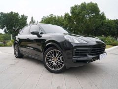 Porsche Cayenne 3.0T Platinum Edition - ფოტო 11