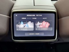 Nio Lerado L60 60kWh Rear-Wheel Drive - ფოტო 14