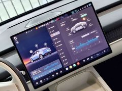Nio Lerado L60 60kWh Rear-Wheel Drive - ფოტო 12
