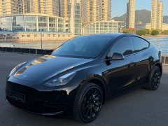 Tesla Model Y Rear-Wheel Drive - ფოტო 1