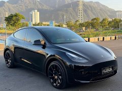 Tesla Model Y Rear-Wheel Drive - ფოტო 3