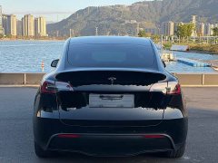 Tesla Model Y Rear-Wheel Drive - ფოტო 8