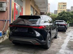 Lexus RX 300 AWD Premium Edition - ფოტო 7