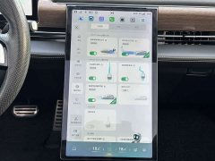 XPeng P5 550E - ფოტო 13