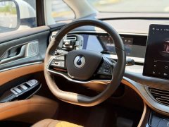 Denza D9 DM-i 970 Luxury - ფოტო 9