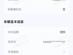 Li Auto Ideal L8 Air - ფოტო 15