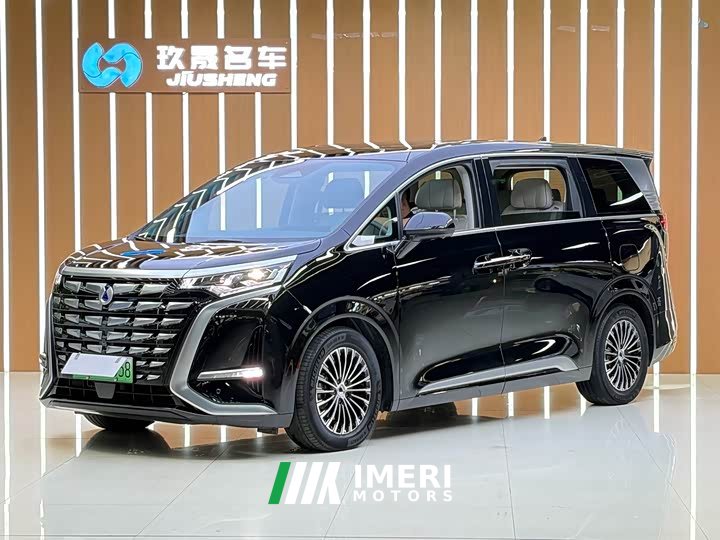 Denza D9 DM-i 1050 Premium