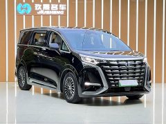 Denza D9 DM-i 1050 Premium - ფოტო 3