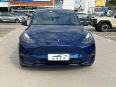Tesla Model Y Long Range All-Wheel Drive 3D7 - ფოტო 13