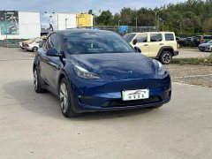 Tesla Model Y Long Range All-Wheel Drive 3D7 - ფოტო 3
