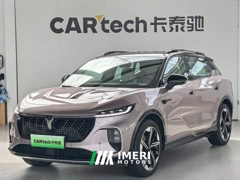 2025 Voyah Lantu Zhiyin Four-Wheel Drive Global Edition - автомобиль из Китая