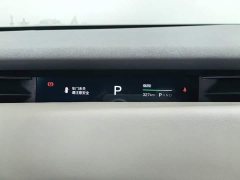 Voyah Lantu Zhiyin Four-Wheel Drive Global Edition - photo 17