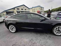 Tesla Model 3 Standard Range RWD Upgrade 3D6 - ფოტო 3