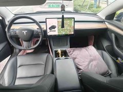 Tesla Model 3 Standard Range RWD Upgrade 3D6 - ფოტო 9