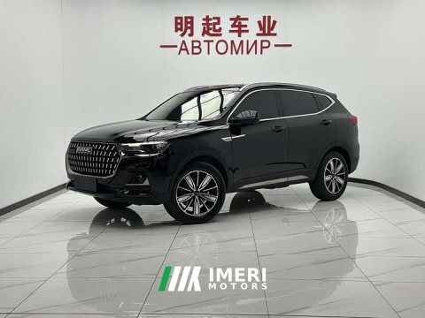 2023 Haval H6 National Trend Edition 1.5T Automatic Champion Version - car from China