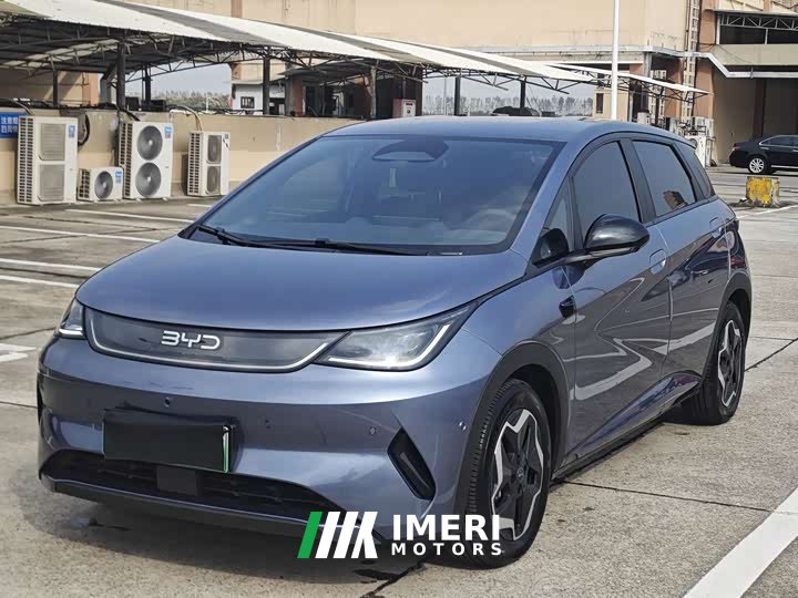 BYD Dolphin Smart Drive 420km Freedom Edition - ავტომობილი ჩინეთიდან