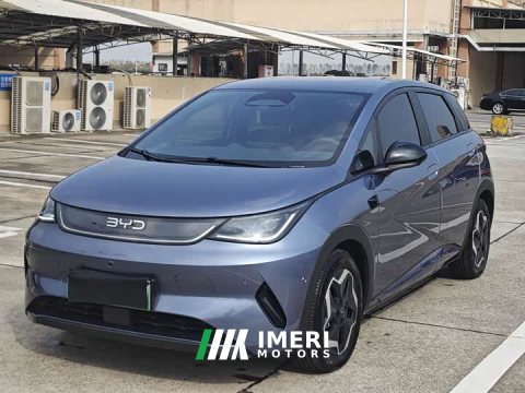 2025 BYD Dolphin Smart Drive 420km Freedom Edition - car from China