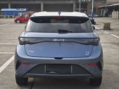 BYD Dolphin Smart Drive 420km Freedom Edition - ფოტო 6
