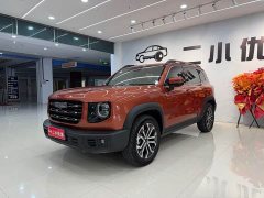 Great Wall Dachshund 1.5T DCT Two-Wheel Drive Border Collie Edition - photo 1
