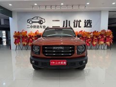 Great Wall Dachshund 1.5T DCT Two-Wheel Drive Border Collie Edition - photo 2