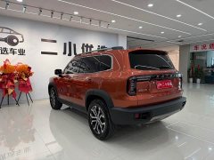 Great Wall Dachshund 1.5T DCT Two-Wheel Drive Border Collie Edition - photo 6