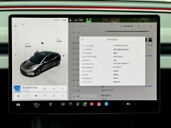 Tesla Model 3 Rear-Wheel Drive - ფოტო 10