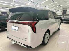 Buick Century 2.0T Seven-Seater Yun Shi Edition - photo 18