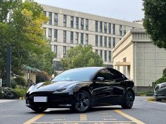 Tesla Model 3 Rear-Wheel Drive - ფოტო 1
