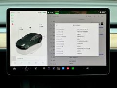 Tesla Model 3 Rear-Wheel Drive - ფოტო 12