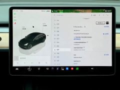 Tesla Model 3 Rear-Wheel Drive - ფოტო 13