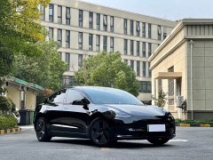 Tesla Model 3 Rear-Wheel Drive - ფოტო 3