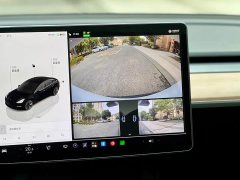Tesla Model 3 Rear-Wheel Drive - ფოტო 6