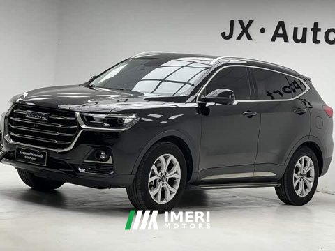 2022 Haval H6 National Trend 1.5T Automatic Champion Edition - car from China
